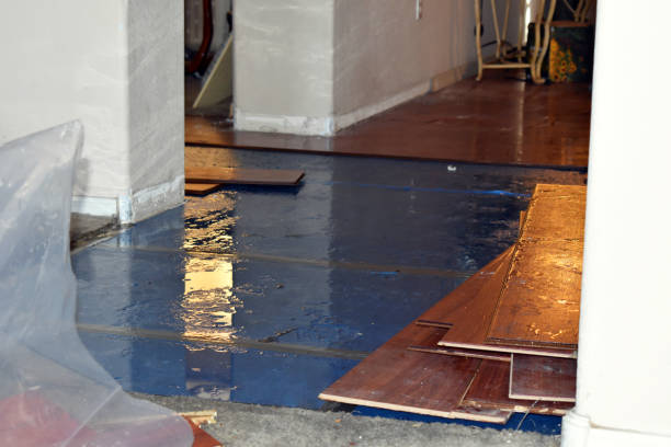 Professional Basement Flood Cleanup technician working in Pierpont, OH